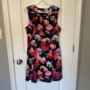 Eliza J Dress Size 12